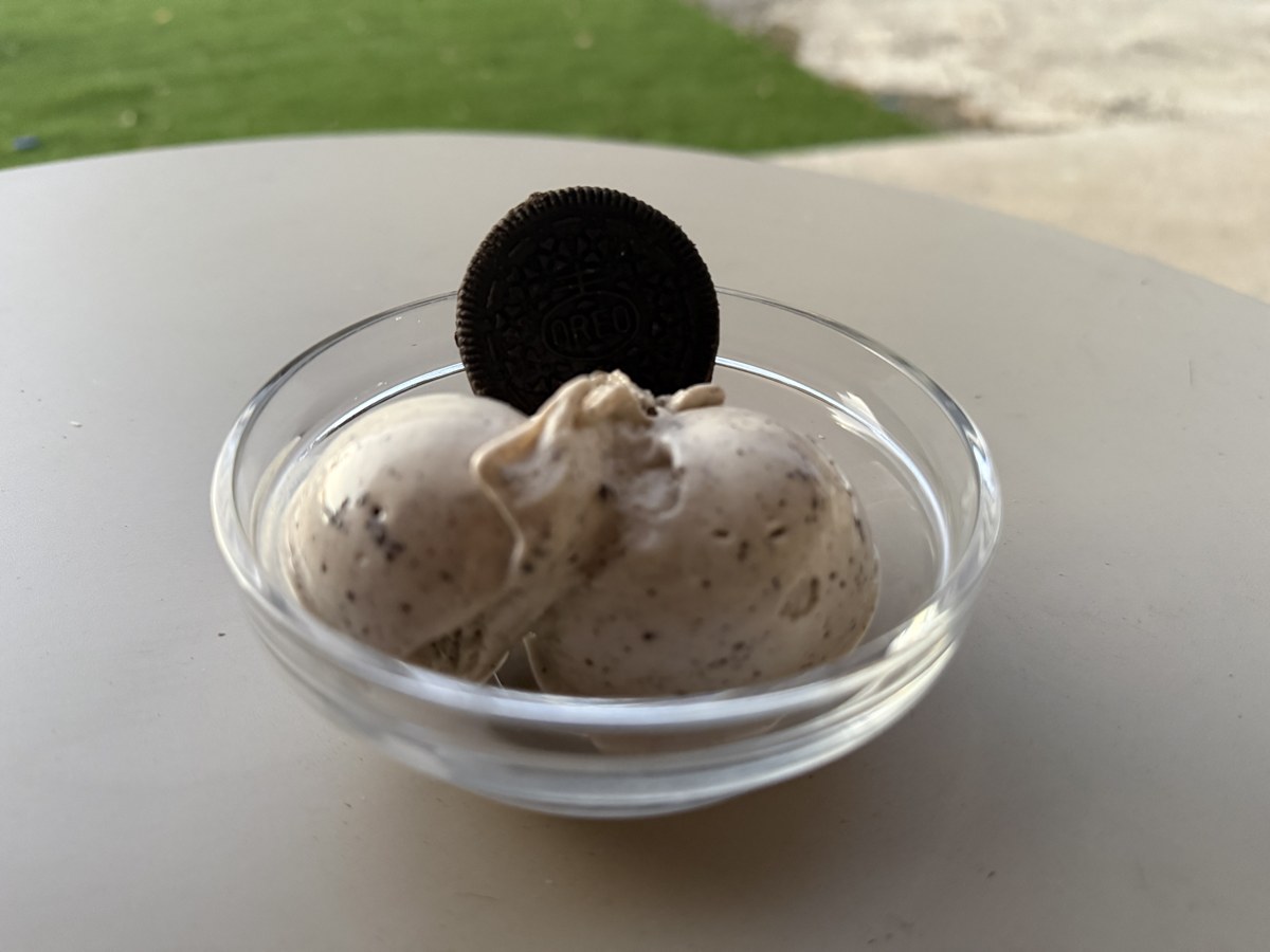 Ninja Creami Cookies and Cream Protein Ice Cream Recipe